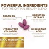 Hair Vitamins Women 5000mcg - Biotin, Collagen & PABA, Womens Hair Growth, Skin, Nails & Keratin Support - 60 Softgels By Nature's Nutrition - 3 of 4