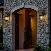 C Cattleya 2-Pack 14in Oil-Rubbed Bronze Outdoor Wall Lantern with Seeded Glass Shade - 4 of 4