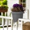 Bloem Classic Resin Balcony Rail Box Planter with Metal Hanging Bracket - 2 of 4