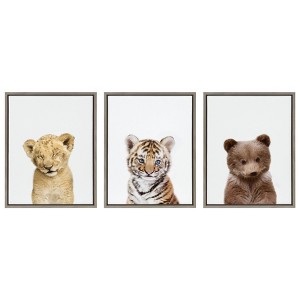 3pc Sylvie Lions and Tigers and Bears Framed Wall Canvases by Amy Peterson Gray - Kate & Laurel All Things Decor - 1 of 4