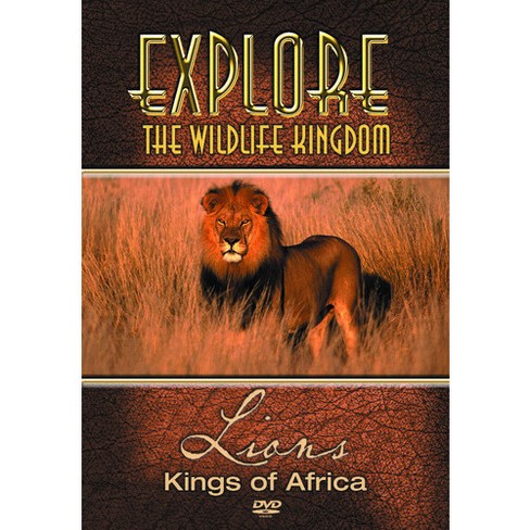 Explore The Wildlife Kingdom Lions Kings Of Africa dvd Target