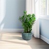 SEVOBAL Planters 3-Piece Modern Ceramic Glossy Flower Pots, Frost-Resistant with Drainage Holes for Indoor, Outdoor, Green, 19.69"*19.69"*15.75" - 4 of 4