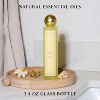 Benevolence LA Sun Kissed - Morning Ritual Room Spray - 3 of 4