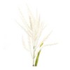 Melrose Astilbe Stem (Set of 6) - 3 of 3