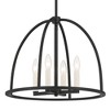 Crystorama Lighting Abbott 4 - Light Chandelier in  Black - 3 of 4
