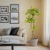 Artificial Plants Indoor, Fake Black Olive Tree with LED Lights, Tall Fake Plants in Pot, Artificial Trees for Home Decor Office Living Room - 4 of 4