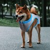 Chill Out - Summer Cooling Vest for Dogs - 3 of 4