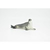 Collectible Wildlife Gifts | Seal, Grey Seal, Museum Quality, Realistic, Plastic, Animal Design, Hand Painted, Model,  Gift 4" CWG211 BB42 - 4 of 4