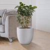 Rosemead Home & Garden, Inc. Kante  Fiberglass Indoor Planter Pots White 9.8" x 9.8" x 9" - 2 of 4