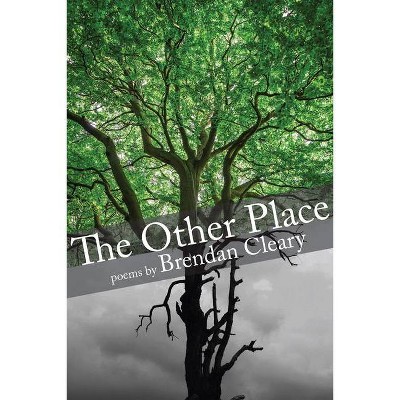 The Other Place - by  Brendan Cleary (Paperback)