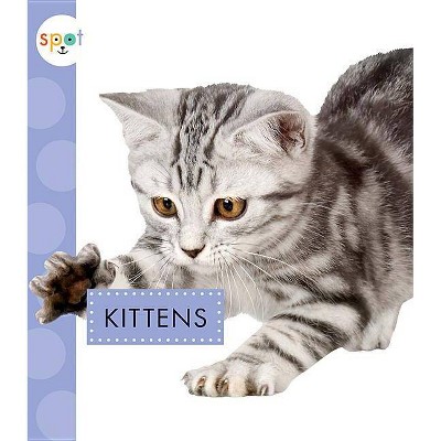 Kittens - (Spot Baby Farm Animals) by  Anastasia Suen (Paperback)