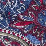 royal navy outlined paisley