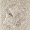 Sapphtopaz 3 Pcs Tufted Cotton Comforter Set Boho Bedding Set Chenille Medallion Fringe Coverlet Quilt Set, Machine Washable - 2 of 4