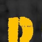 clear push pins bundle