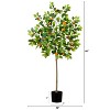 HomeStock  5 ft. Artificial Tree in Pot for Indoor/Outdoor - 2 of 4