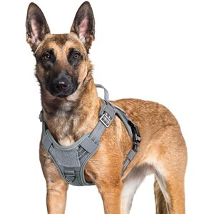 rabbitgoo Dog Harness for Large Dogs No Pull, l Handle, for Easy Walking and Training, Grey, XL - 1 of 1