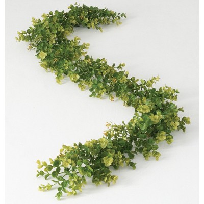 Sullivans Artificial New England Boxwood Garland 67"L Green