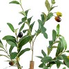 HomeStock  5 ft. Artificial Olive Tree in Pot for Indoor/Outdoor - 4 of 4
