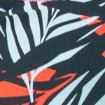 multi textured palm