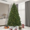 Vickerman Oregon Fir Outdoor Artificial Christmas Tree - 2 of 2