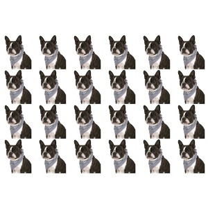 24 Pack Cotton Paisley Dog Bandanas Bulk Set for Groomers Shelters or Parties - 1 of 4