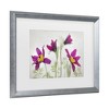 Trademark Fine Art - Mandy Disher  Pulsatilla Matted Framed Art - 3 of 4