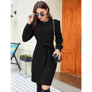 Coolmee Women Crew Neck Wide Body Waist Tie Loose Knitted Long Sleeve Mini Dress - 1 of 4
