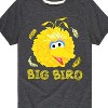Boys' - Sesame Street - Big Bird Face Short Sleeve Graphic T-Shirt - 2 of 4