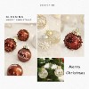 COZONY 25 Pcs Clear Shatterproof Christmas Ornament Balls, 2.4" PET Painted Xmas Tree Decorations for Holiday & Wedding Decor - 4 of 4