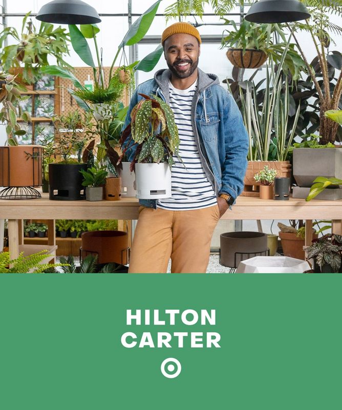 Houseplant Care Advice From Hilton Carter