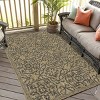 Playa Rug Eliza Rectangle Woven Indoor Outdoor Rugs - image 3 of 4