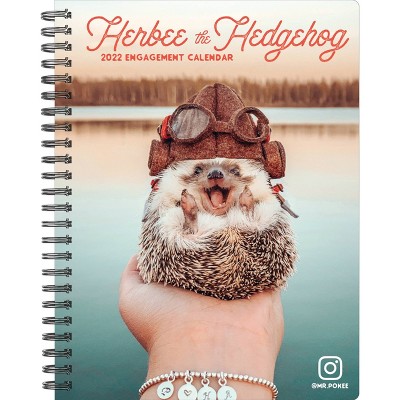 2022 Engagement Calendar Herbee the Hedgehog - Willow Creek Press