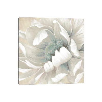 iCanvas Winter Blooms II by Carol Robinson Canvas Print Wall Art