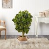 Nearly Natural 4-ft Schefflera Artificial Tree in Boho Chic Handmade Cotton & Jute White Woven Planter (Real Touch) - 3 of 4