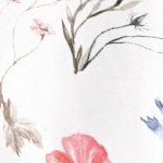 meadow floral stripe pink