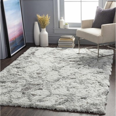 Hauteloom Wynant Gray Tones Plush Rug