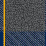west virginia mountaineers