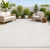 JONATHAN Y Finn High-Low Modern Minimalist Checkered Monotone Indoor/Outdoor Area Rug - 4 of 4