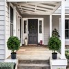 Artificial Topiary Boxwood Ball Trees 20 Inch, Fake Greenery with Fruits for Front Porch, Indoor Walkway, Set of 2 - 2 of 4
