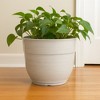 Garden Elements Indoor/Outdoor Glazed Brushed Happy Plastic Planter, Large, 15in - 4 of 4