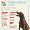 Country Brook Petz Deluxe Dog Collar - Camouflage Collection - Made in The U.S.A. - 4 of 4