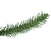 Northlight Winona Fir Artificial Commercial Christmas Garland - 50' x 12" - Unlit - 3 of 3