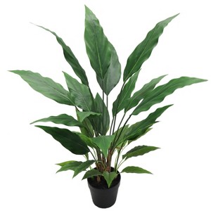 Floral Home 3' Spathiphyllum Peace Lily Plant in Pot - 1-Piece - 1 of 4