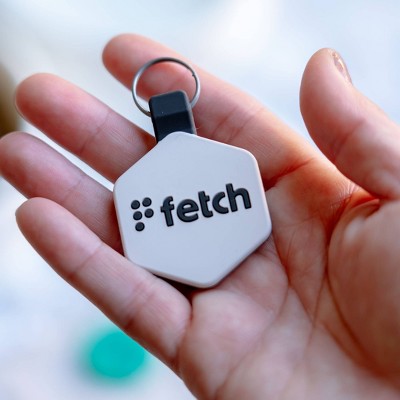 Lifekey Fetch Smart Pet Tag