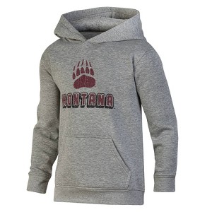 NCAA Montana Grizzlies Boys' Gray Hoodie - 1 of 3