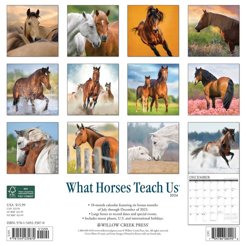 Willow Creek Press 2024 Wall Calendar 12&#34;x12&#34; What Horses Teach Us, 2 of 4