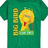 Boys' - Sesame Street - Big Bird Photo Short Sleeve Graphic T-Shirt - 2 of 4