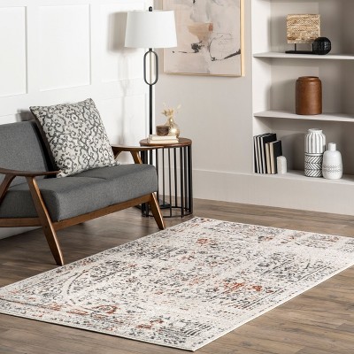 Arlena Distressed Red and Gray Traditional Area Rug, 4' x 6'