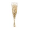 Set of Two Faux Bunny Tail Stems for Everyday Decor by Melrose - 2 of 3