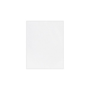 Lux Paper 8.5 x 11 inch Bright White 250/Pack 81211-P-02-250 - 1 of 1